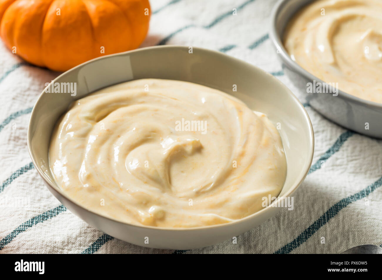 Gesunde organische Pumpkin Spice Joghurt zum Frühstück Stockfoto