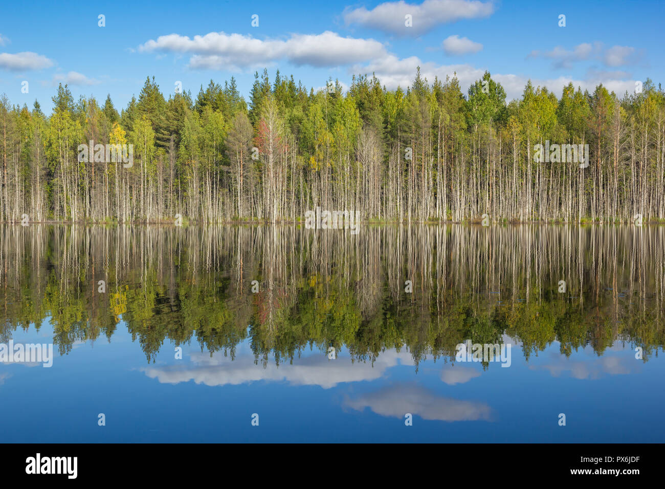 Blauer Himmel und grünen Bäumen in Clear Lake Spiegel Wasser Reflexion von Herbst Wald Herbst Landschaften Stockfoto