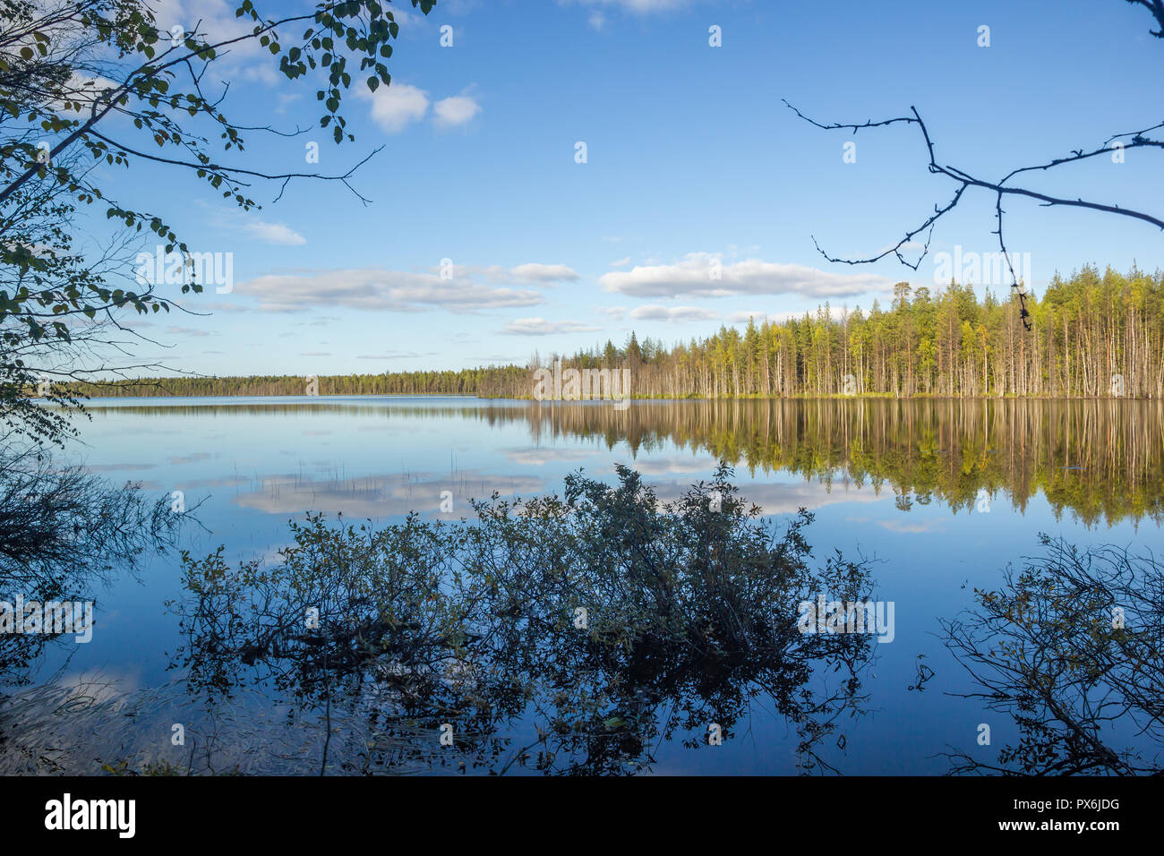 Blauer Himmel mit Wolken und grüne Bäume Wasser Reflexion von Herbst Landschaft Zweig Rahmen Hintergrund Stockfoto