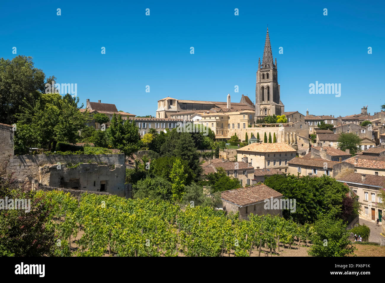 Weinberge ausserhalb des Dorfes Saint Emilion, Frankreich Stockfoto