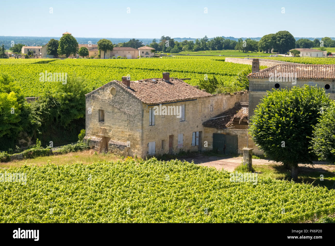 Saint Emilion, Frankreich - die berühmten Weinberge Stockfoto