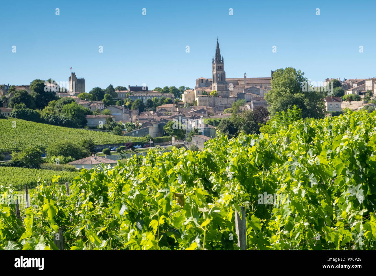 Die berühmten Weinberge und Stadt Saint Emilion, Frankreich, Europa Stockfoto