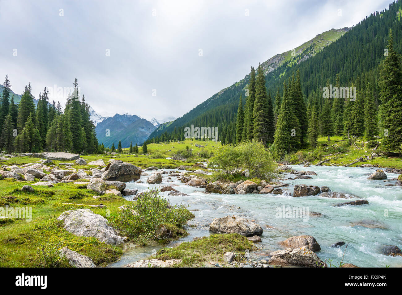 Schöne Berglandschaft mit einem turbulenten Fluss an einem Sommertag, Kirgisistan. Stockfoto