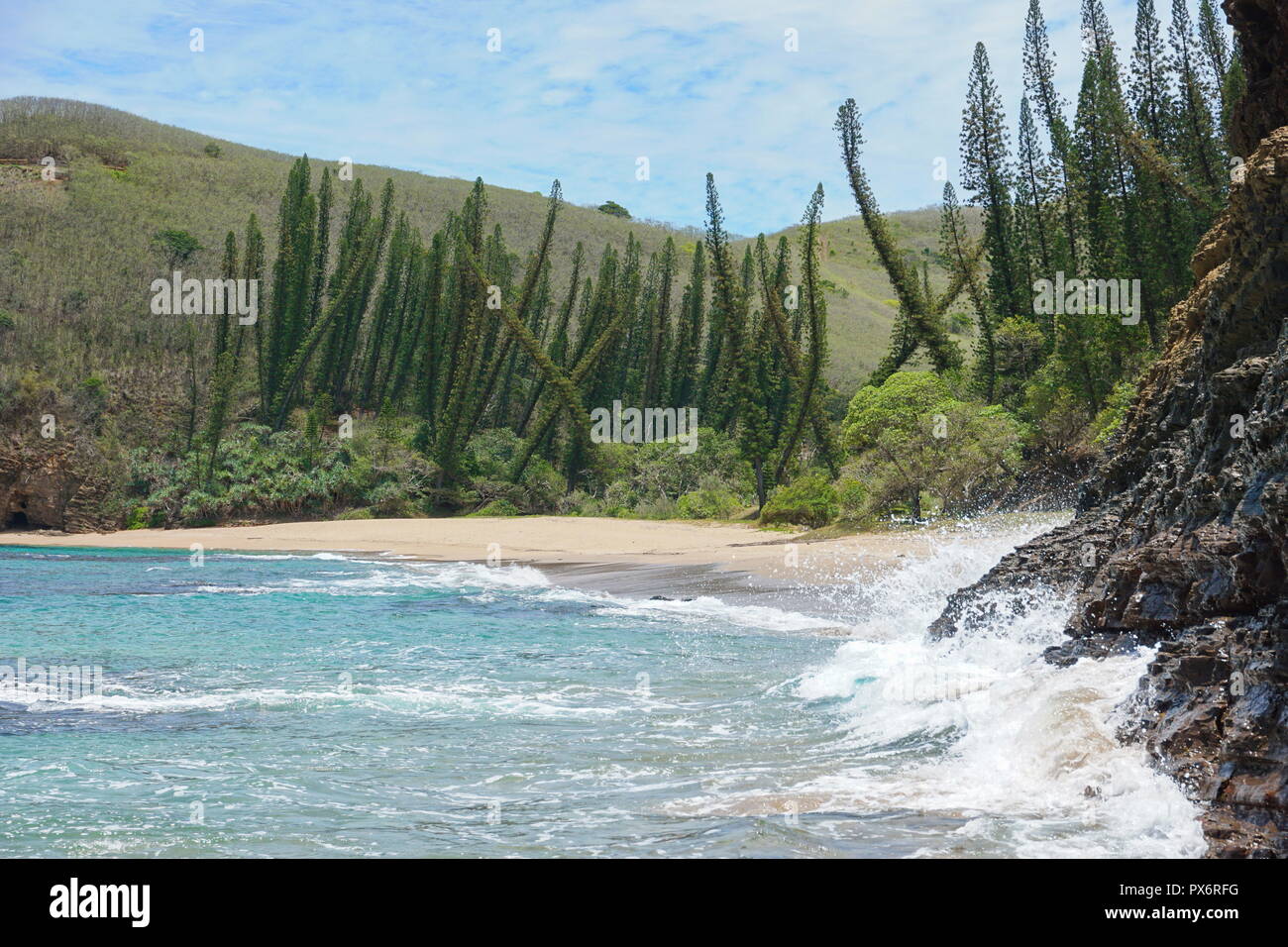 Neukaledonien Küstenlandschaft, wilden Strand mit Pinien, Bourail, Grande Terre Island, South Pacific Stockfoto