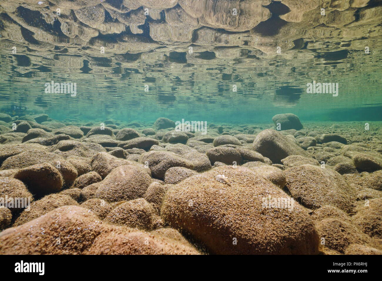 Unterwasser felsigen Flussbett im flachen Wasser in den ruhigen Wasser Oberfläche reflektiert, la Muga Fluss, Alt Emporda, Katalonien, Spanien Stockfoto