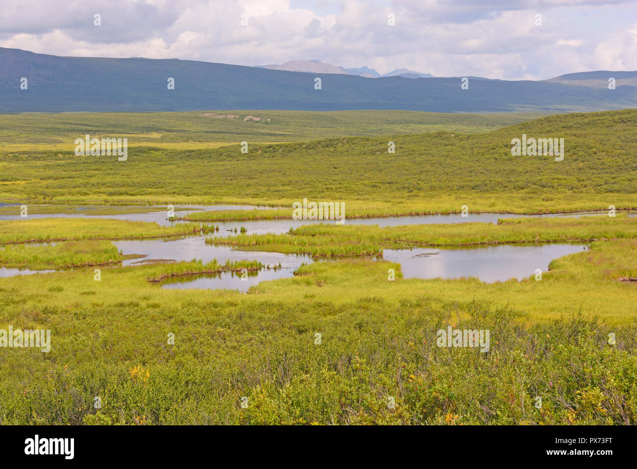 Tundra Teich in der Wüste entlang der Denali Highway in Alaska Stockfoto