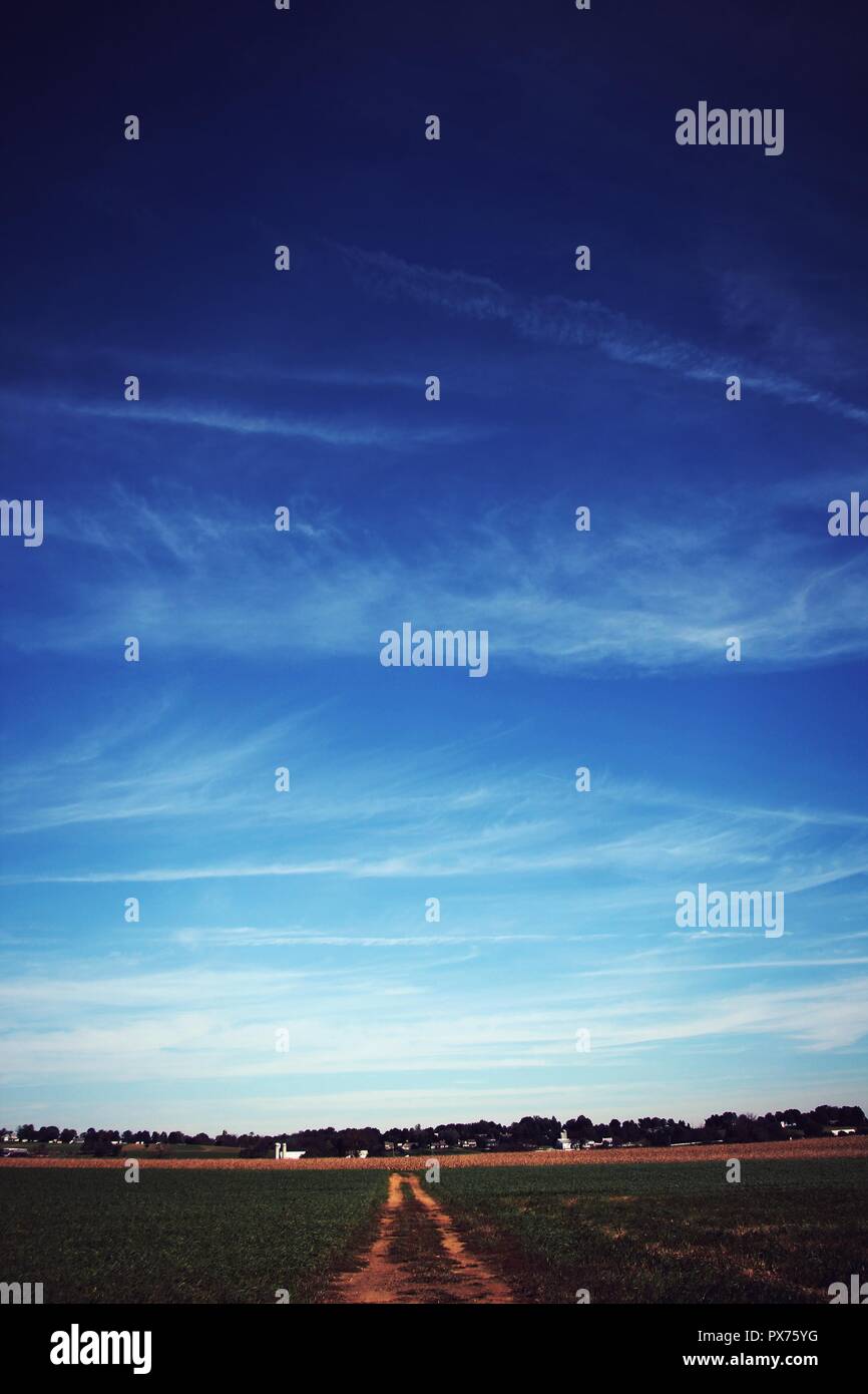 Feld, Feld Lane und Zaun gegen eine lebendige blauen Himmel an einem Bauernhof in Lancaster County im Sommer. Stockfoto