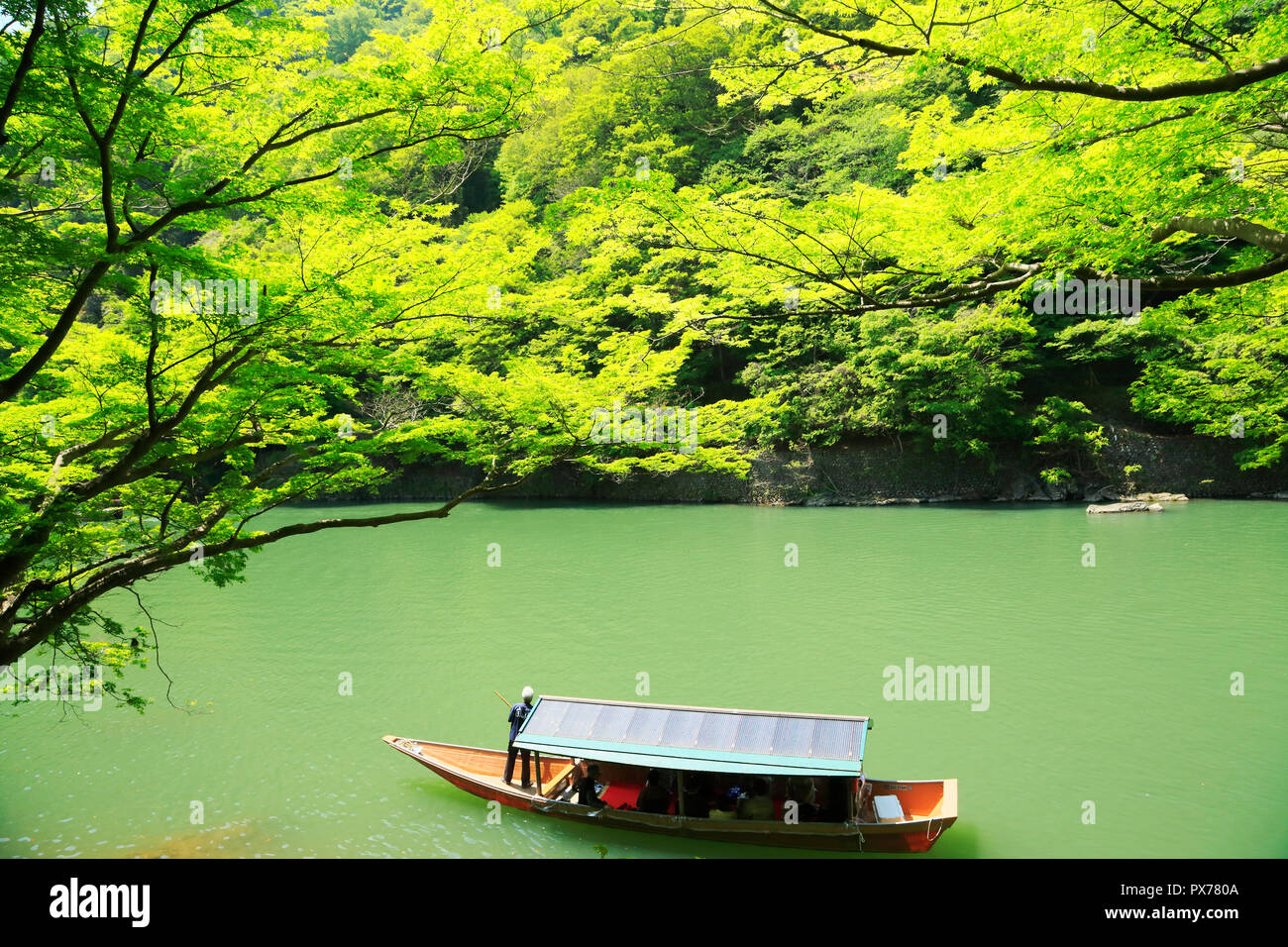 Frisches Grün von arashiyama in Kyoto. Stockfoto