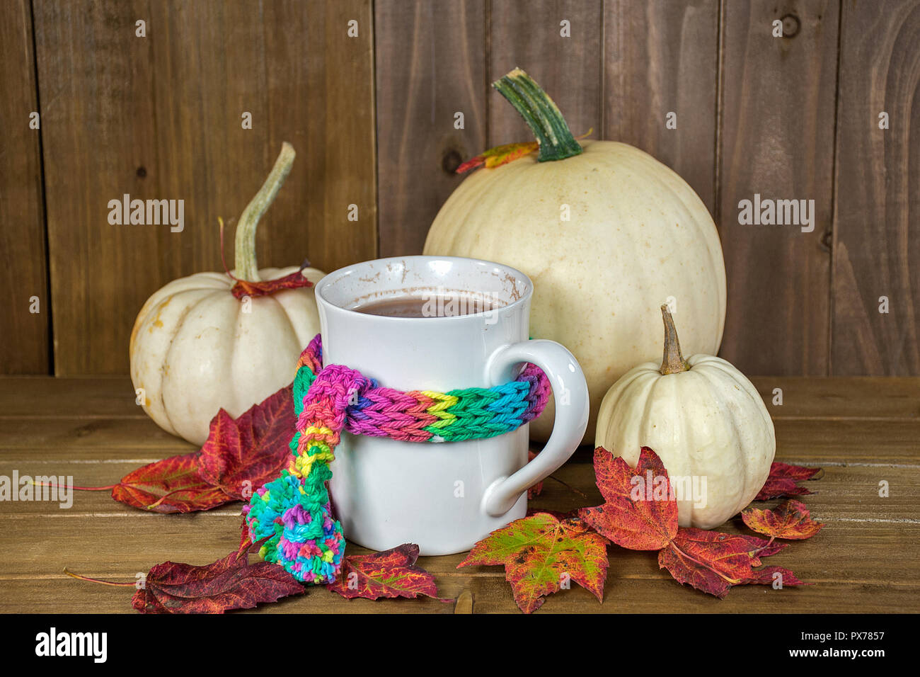 Heiße Schokolade trinken in Becher mit bunten Strickschal und weißen Kürbisse im Herbst Blätter Stockfoto