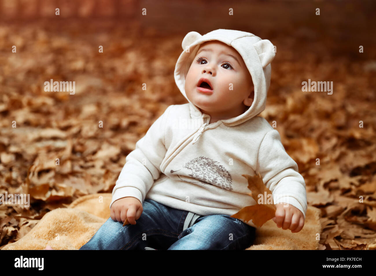 Porträt eines niedlichen kleinen neugierige Junge sitzt auf der Decke auf dem Boden bedeckt mit trockenen Baum Blätter und mit Staunen, Schauen und genießen die Schönheit der Stockfoto
