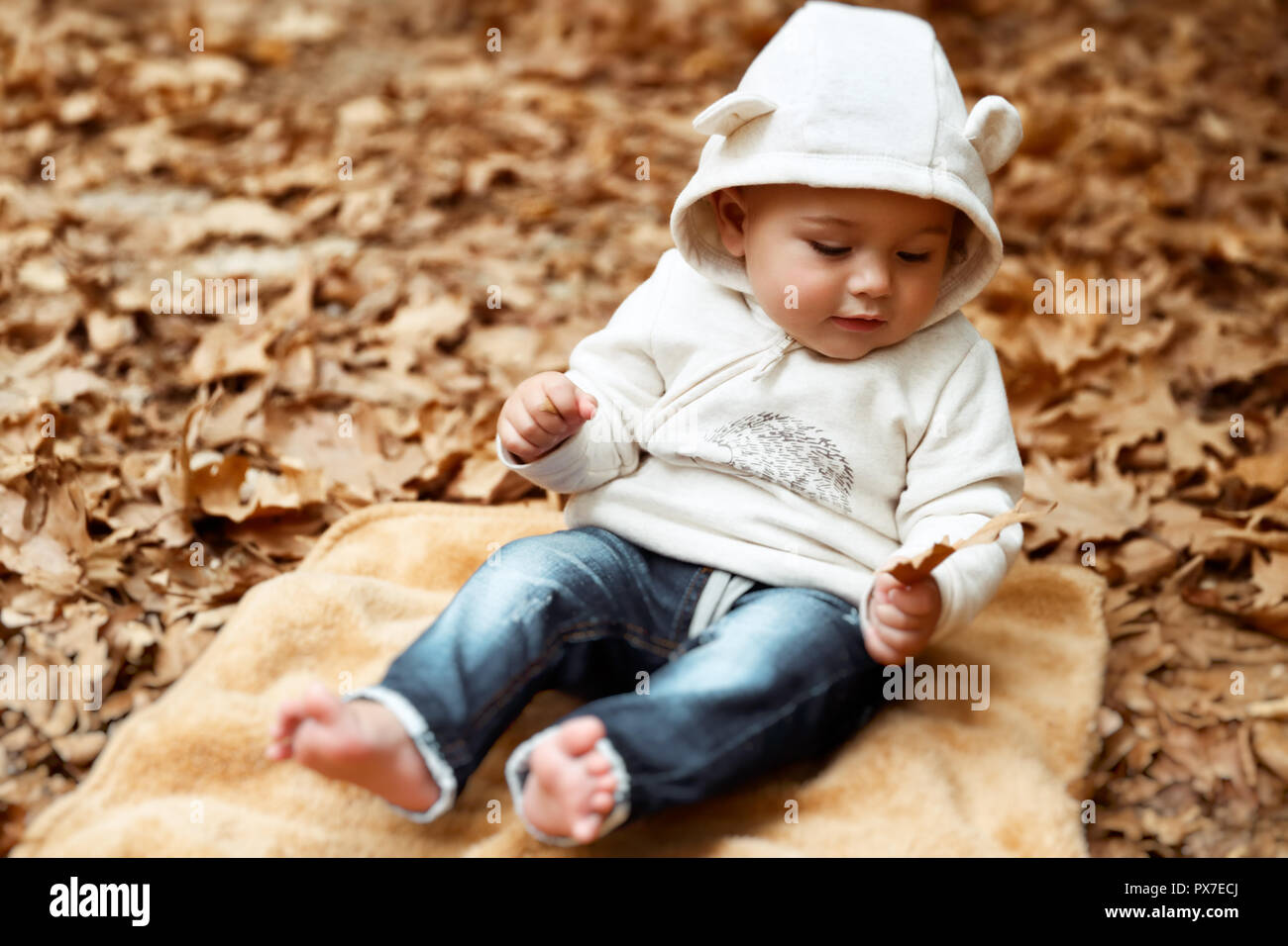 Cute fröhliches Kind Spaß im Herbst Park, süße, kleine Junge sitzt auf dem Boden mit trockenen Baum Blättern bedeckt, fröhliches Kind genießen Herbst Meere Stockfoto