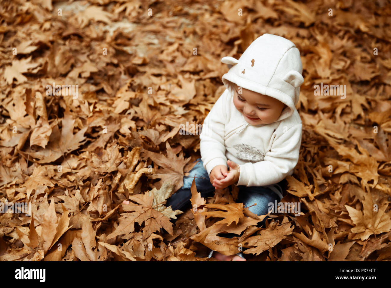 Süße kleine Baby Junge sitzt auf der graund im Wald und mit Vergnügen spielen mit trockenen Baum Blätter, Herbst Natur genießen. Stockfoto