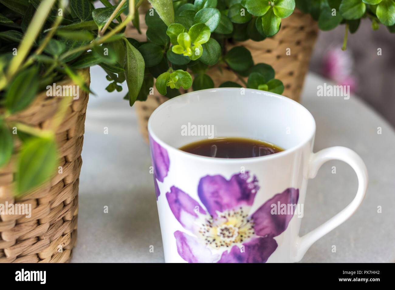 Tasse Kaffee schwarz, weiße Blumen China Schale, Pflanzen Hintergrund, flatlay Mockup, entspannende Konzept, hygge, einfaches Leben glücklich leben, Best Life, Time Out Stockfoto