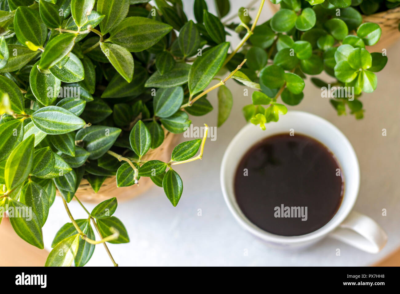 Tasse Kaffee schwarz, weiße Blumen China Schale, Pflanzen Hintergrund, flatlay Mockup, entspannende Konzept, hygge, einfaches Leben glücklich leben, Best Life, Time Out Stockfoto