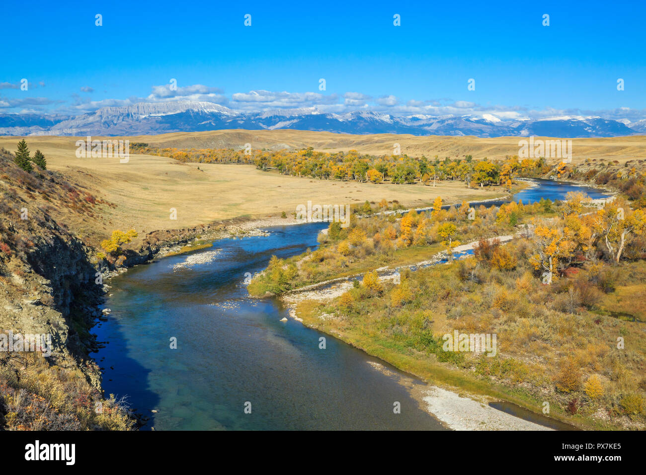 Herbst Farben entlang der Sonne Fluss unterhalb des Rocky Mountain Front in der Nähe von Augusta, Montana Stockfoto