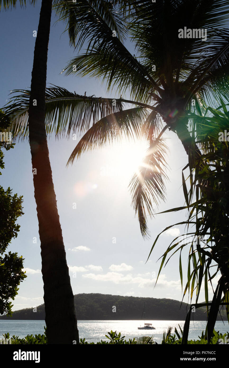 Landschaften für Computer Wallpaper, desktop Hintergründe, Kopieren, grafischen Oberfläche und die Verwendung in Publishing Stockfoto