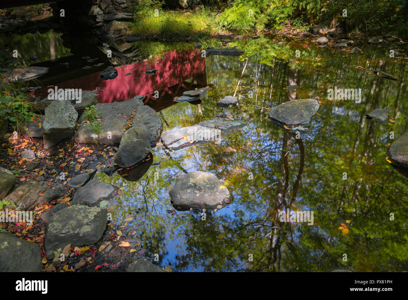 Herbst Farben und rote hölzerne Brücke in einem Stream wider Stockfoto