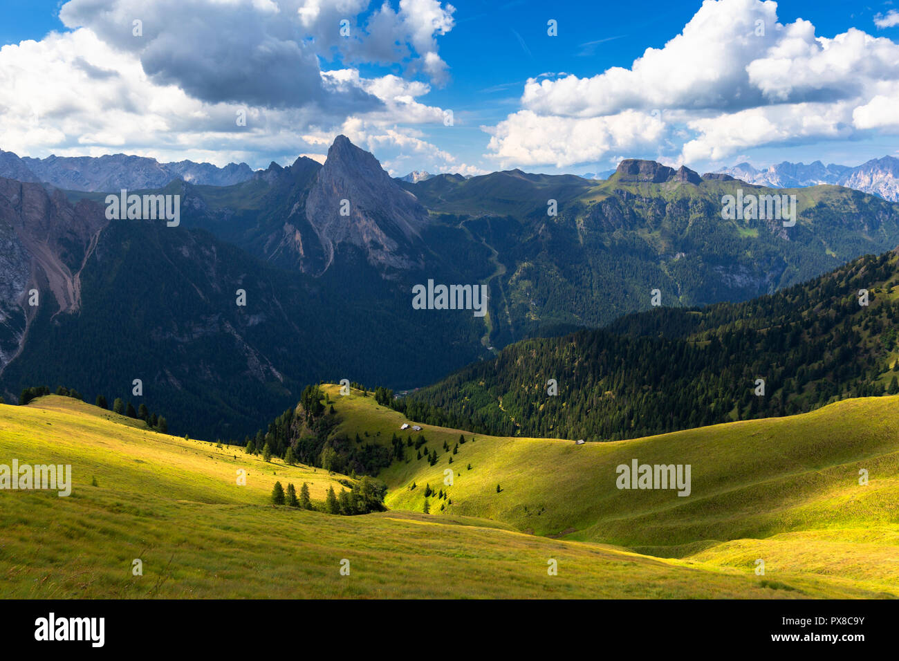 Lichtspiele in der Weide. Viel del Pan Pfad, Pordoijoch, Val di Fassa, Trentino, Dolomiten, Italien, Europa. Stockfoto