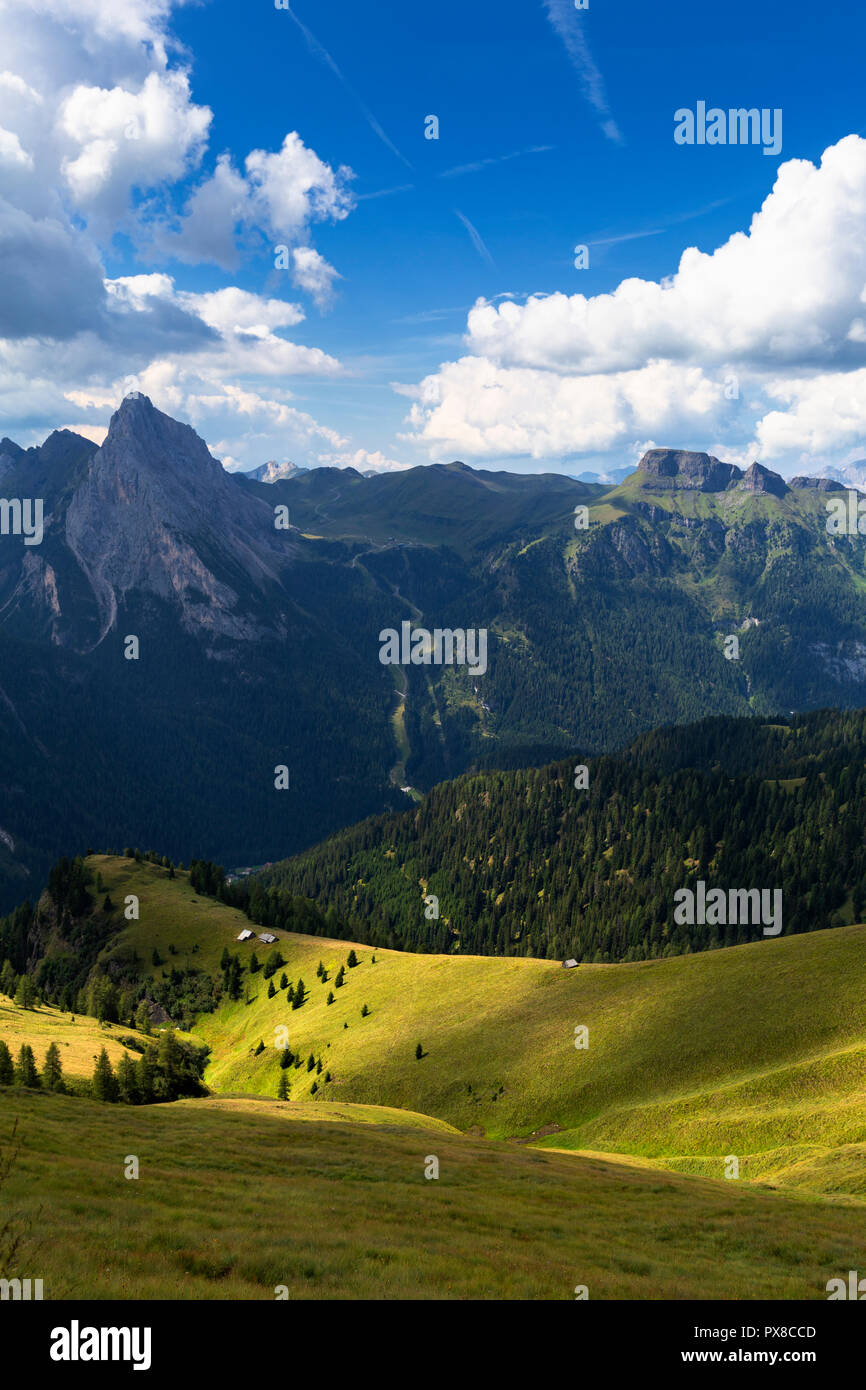 Lichtspiele in der Weide. Viel del Pan Pfad, Pordoijoch, Val di Fassa, Trentino, Dolomiten, Italien, Europa. Stockfoto