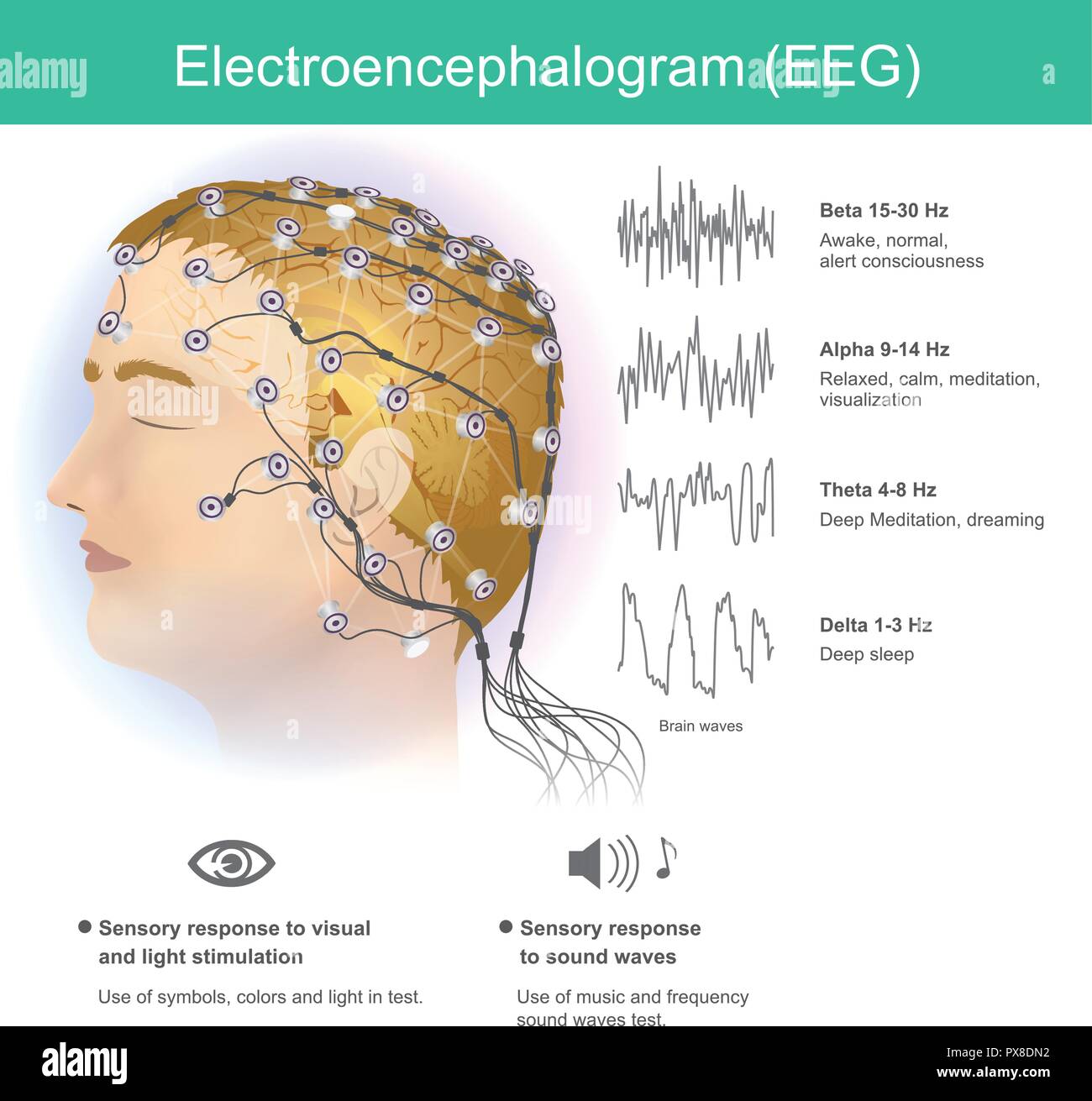 Die Verwendung von Elektroden kleine elektromagnetische Wellen aus dem menschlichen Gehirn zu lesen. Stock Vektor