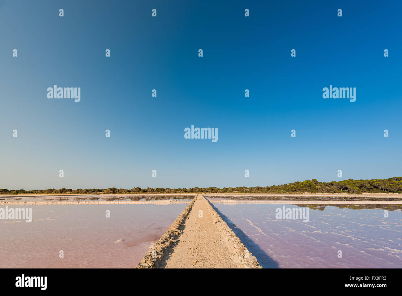 Salzseen in Formentera, Spanien Stockfoto