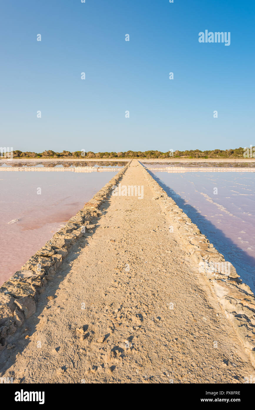 Salzseen in Formentera, Spanien Stockfoto
