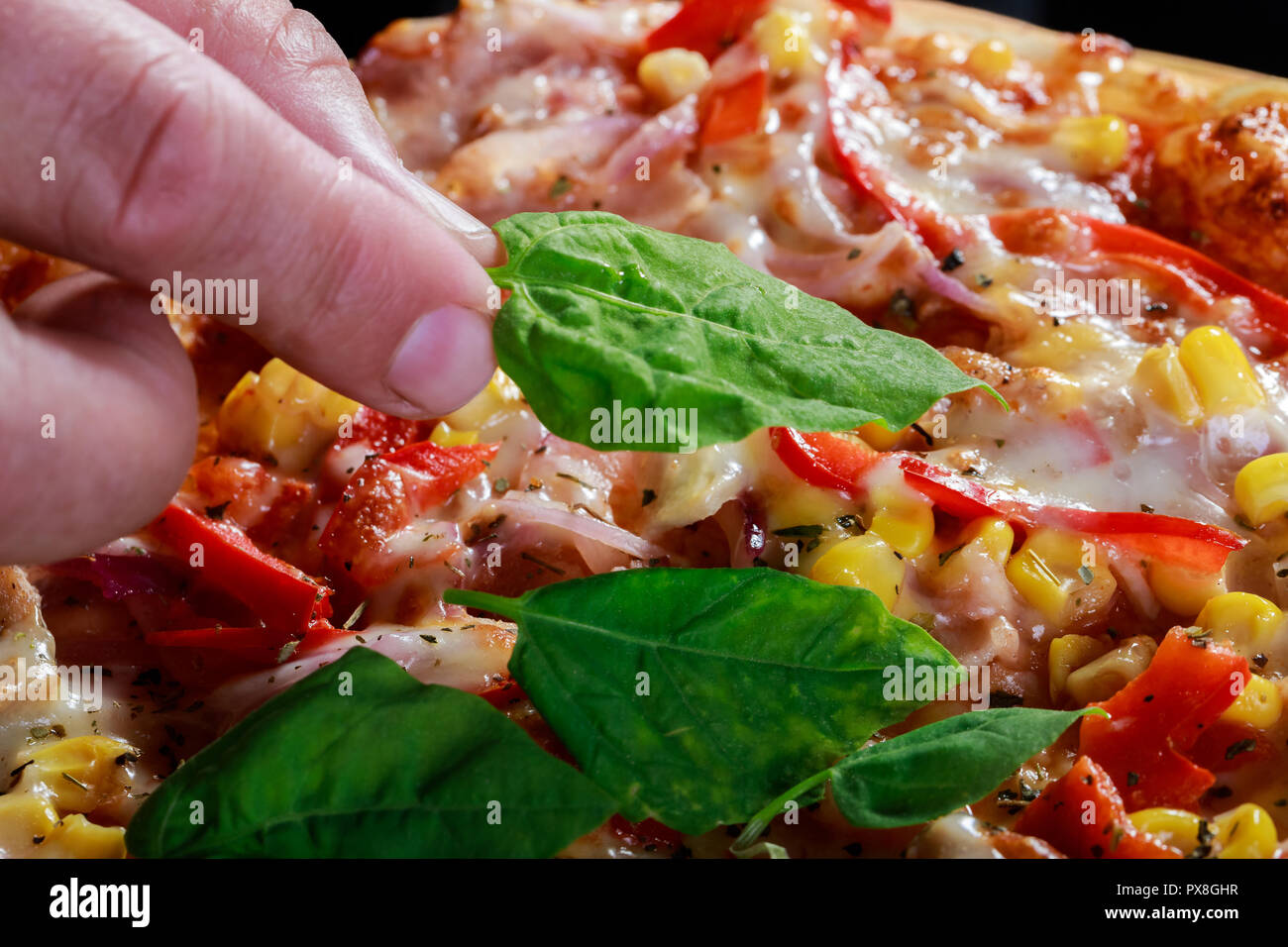 Pizza mit Hähnchen und Gemüse mit Mais, Speck, Paprika, Zwiebeln und Basilikum und Rucola Stockfoto