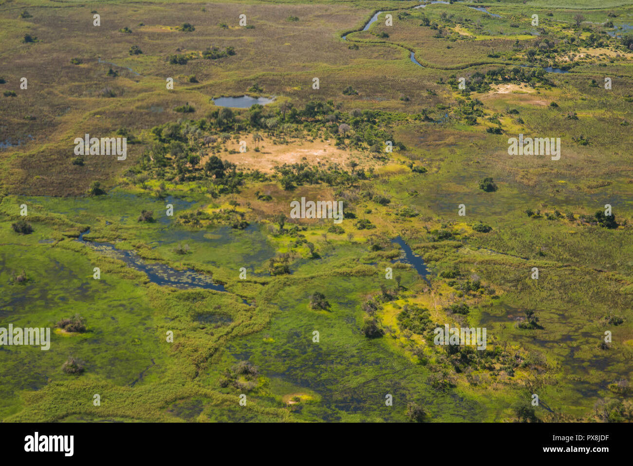 Herrlichem Blick auf die üppige Vegetation des Okavango Delta in Botswana Stockfoto