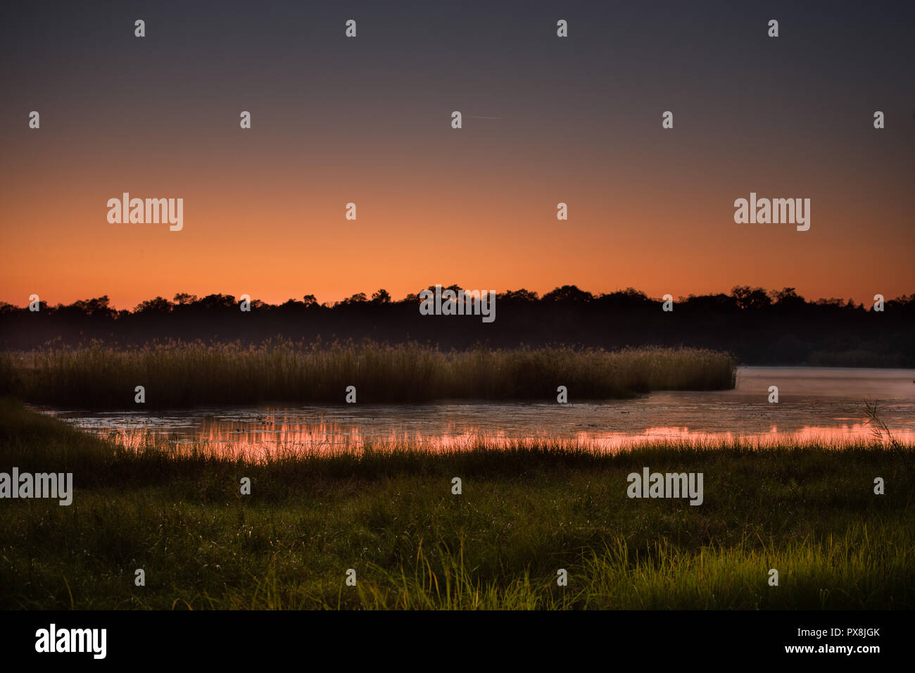 Die Ufer des Okavango in Botswana, unter der orange Glühen von Sunrise auf dieser Strecke des Flusses vor dem Okavango Delta region Stockfoto