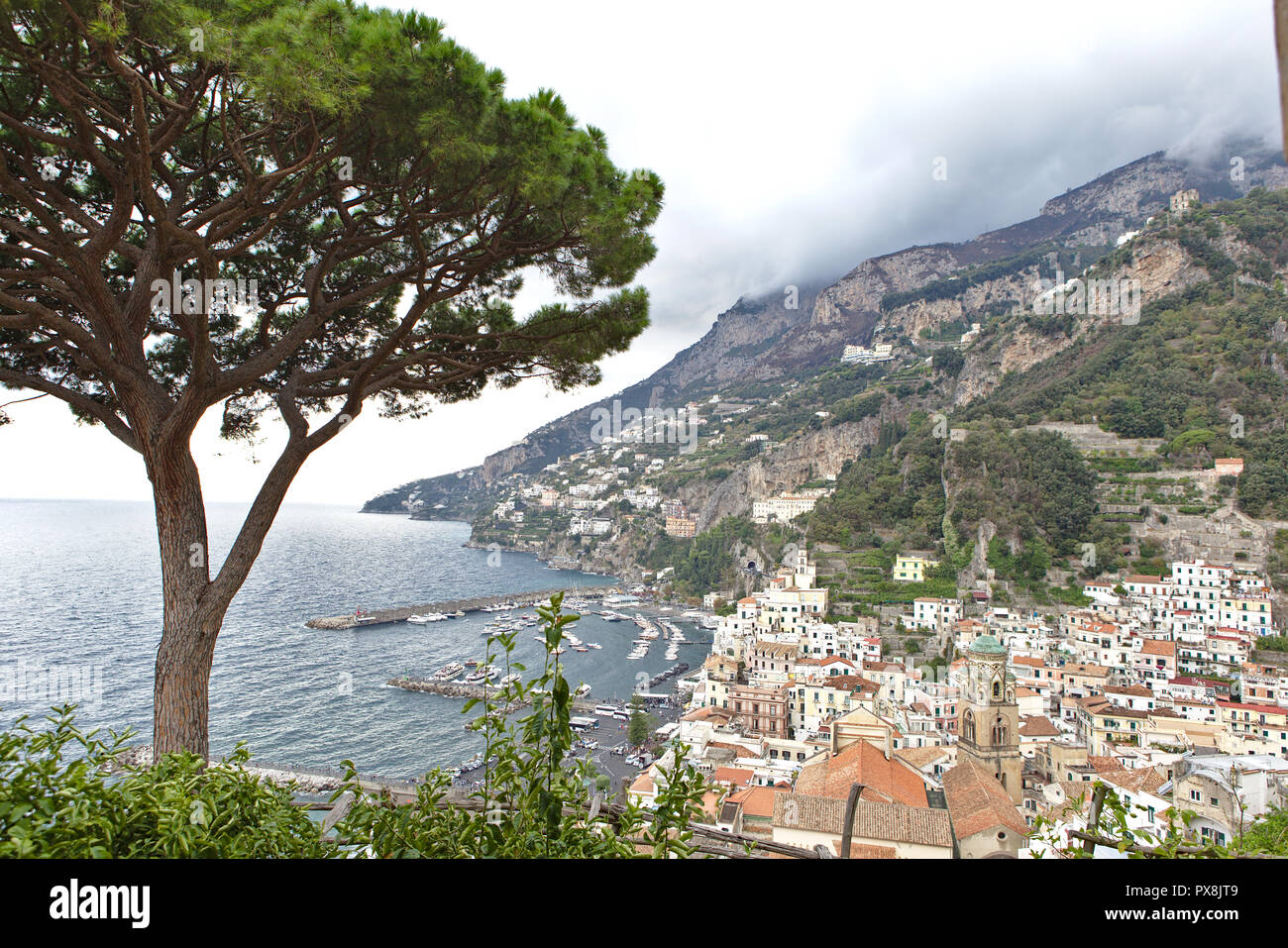 Blick auf Amalfi von oben mit Kiefer in Vordergrund Stockfoto