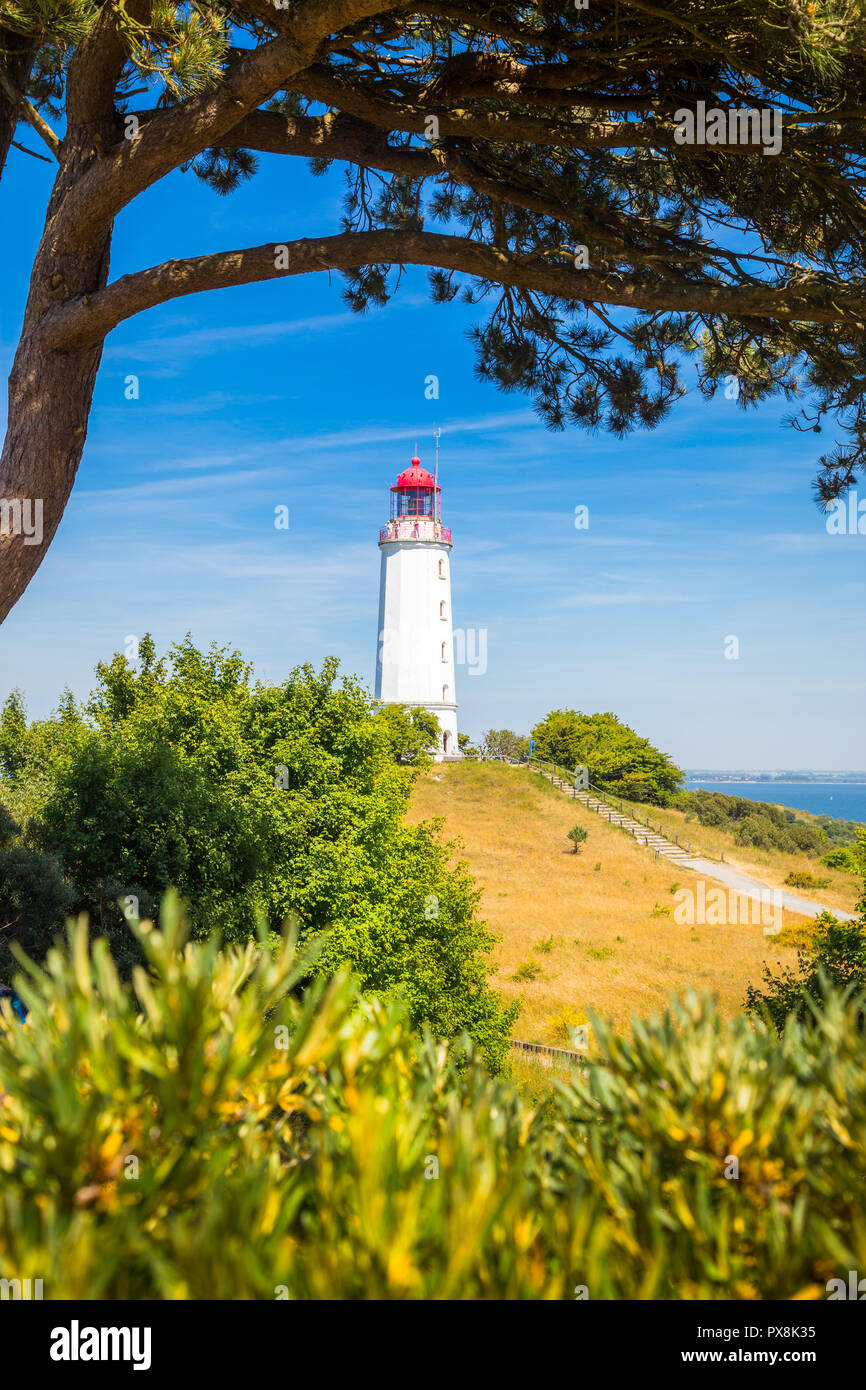 Klassische Ansicht der berühmte Leuchtturm Dornbusch auf der schönen Insel Hiddensee mit blühenden Blumen im Sommer, Ostsee, Mecklenburg-Vorpommern Stockfoto