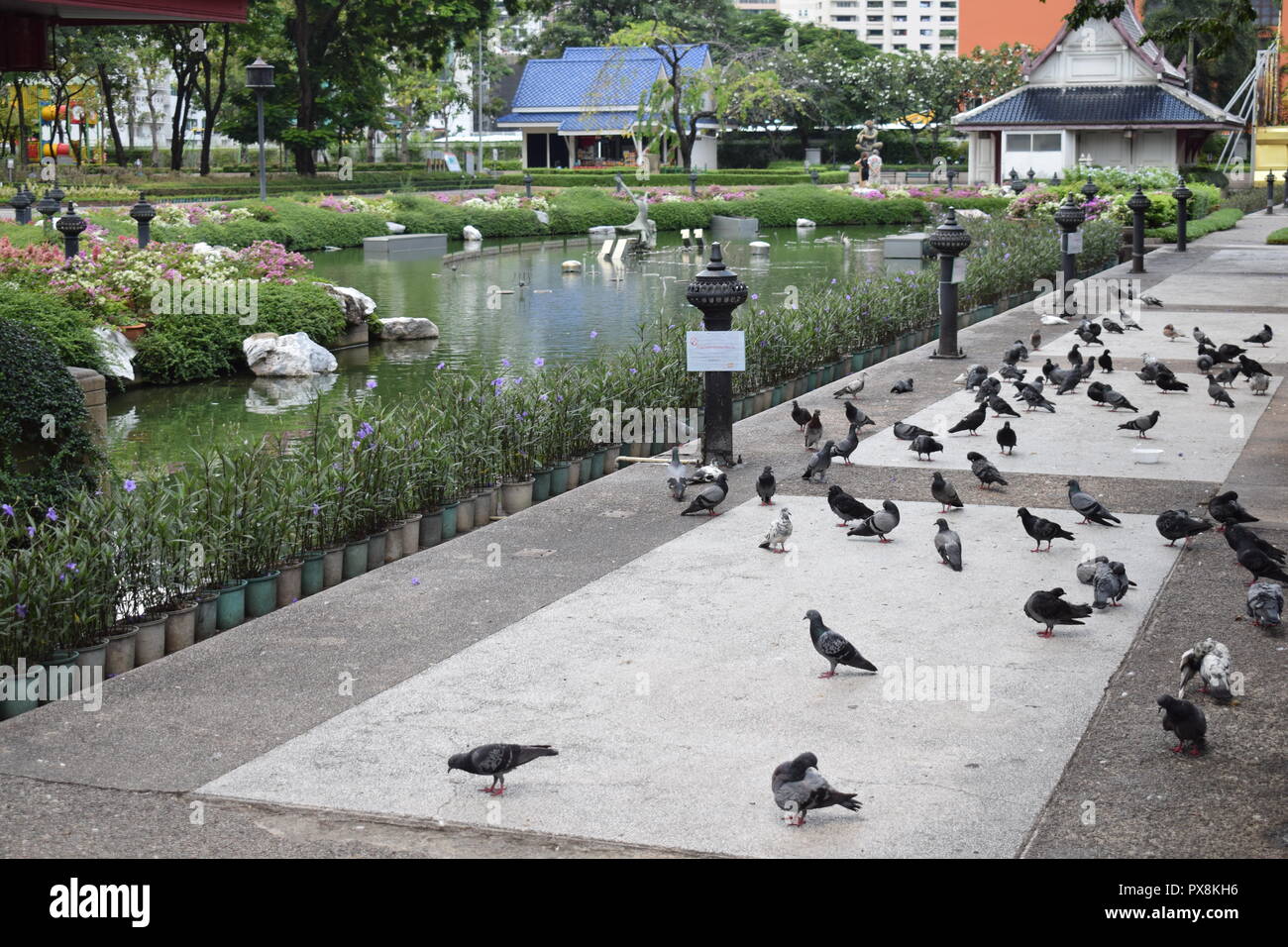 Parks Bangkok Stockfoto