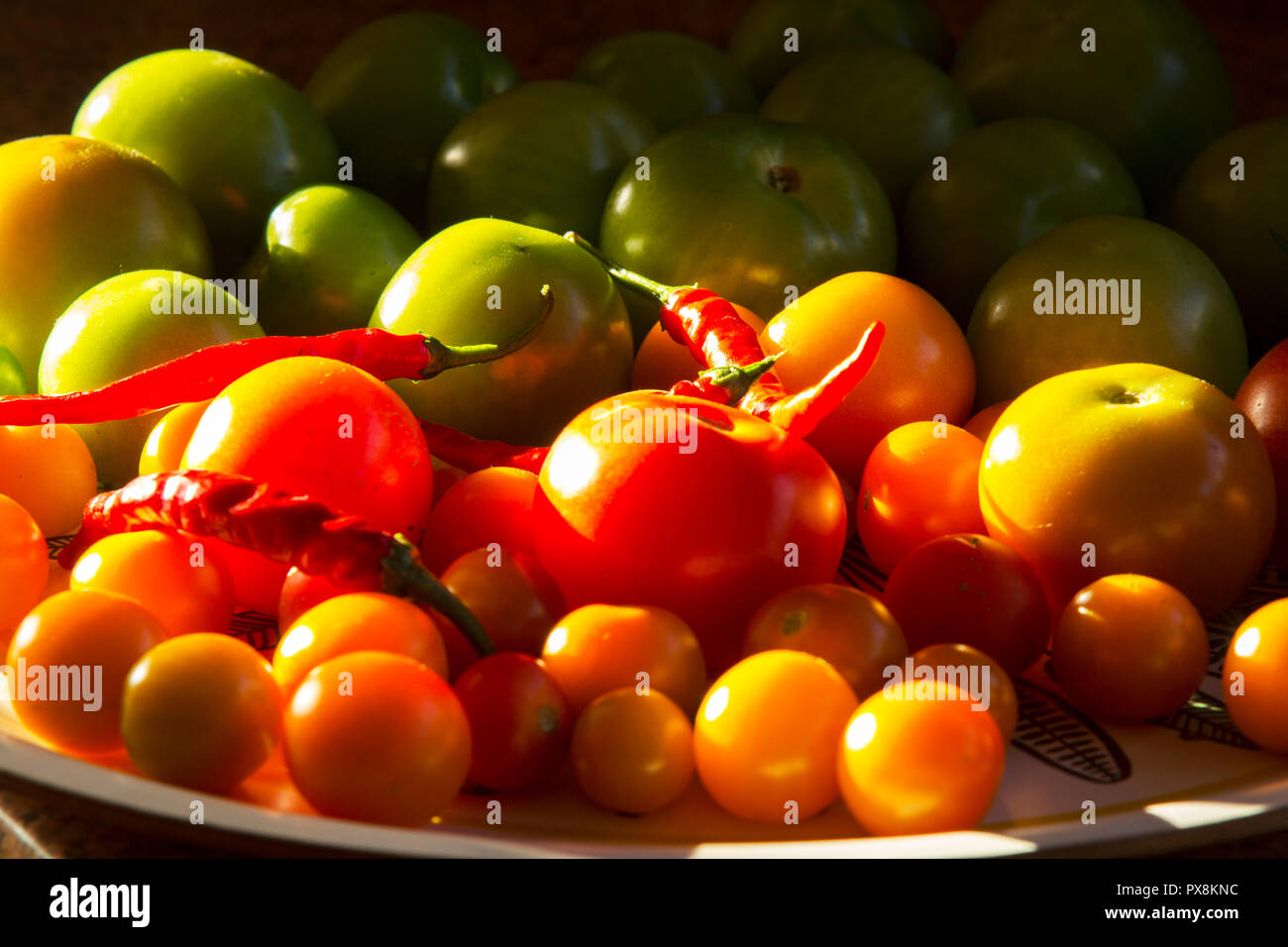 Homegrown Tomaten und Chilis. Stockfoto
