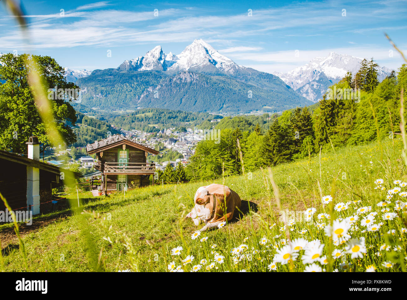 Schöne Panoramasicht auf idyllischen Berglandschaft mit traditionellen Mountain Chalets und Kuh weiden auf grünen Wiesen an einem schönen sonnigen Tag mit Bl Stockfoto