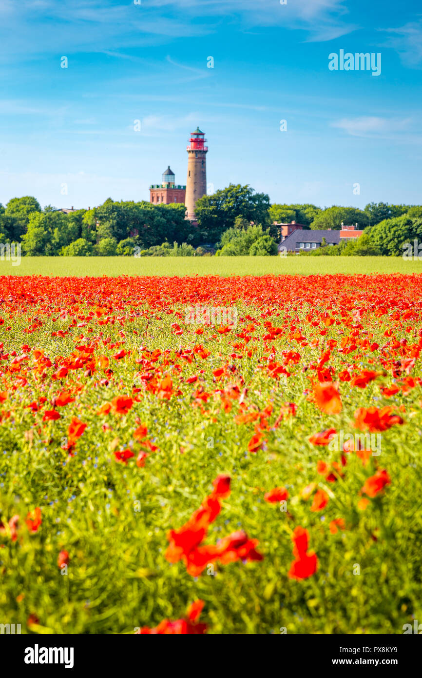 Schönen Blick auf Kap Arkona Leuchtturm mit einem Feld von blühenden Roter Mohn Blumen im Sommer, Insel Rügen, Ostsee, Deutschland Stockfoto