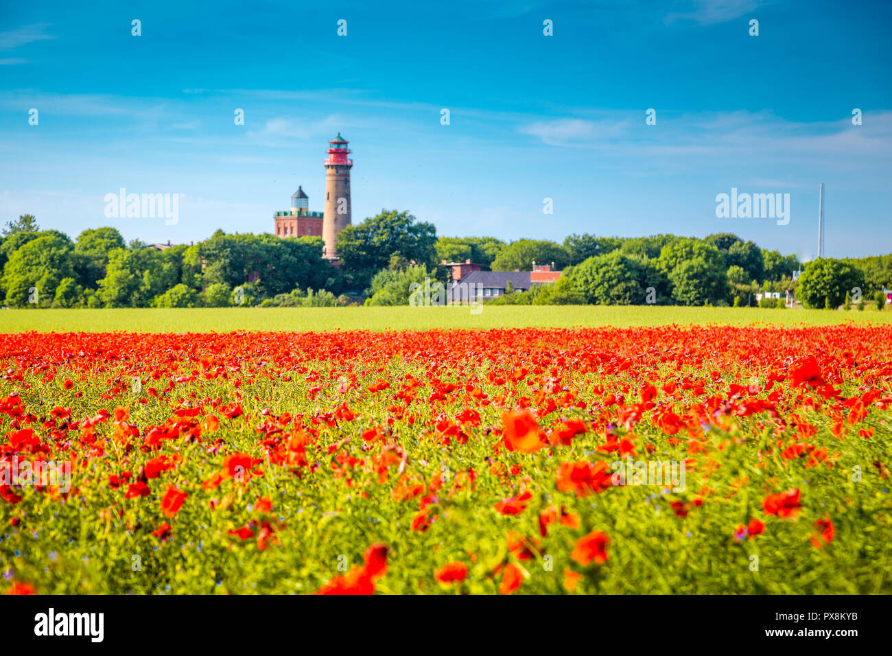 Schönen Blick auf Kap Arkona Leuchtturm mit einem Feld von blühenden Roter Mohn Blumen im Sommer, Insel Rügen, Ostsee, Deutschland Stockfoto