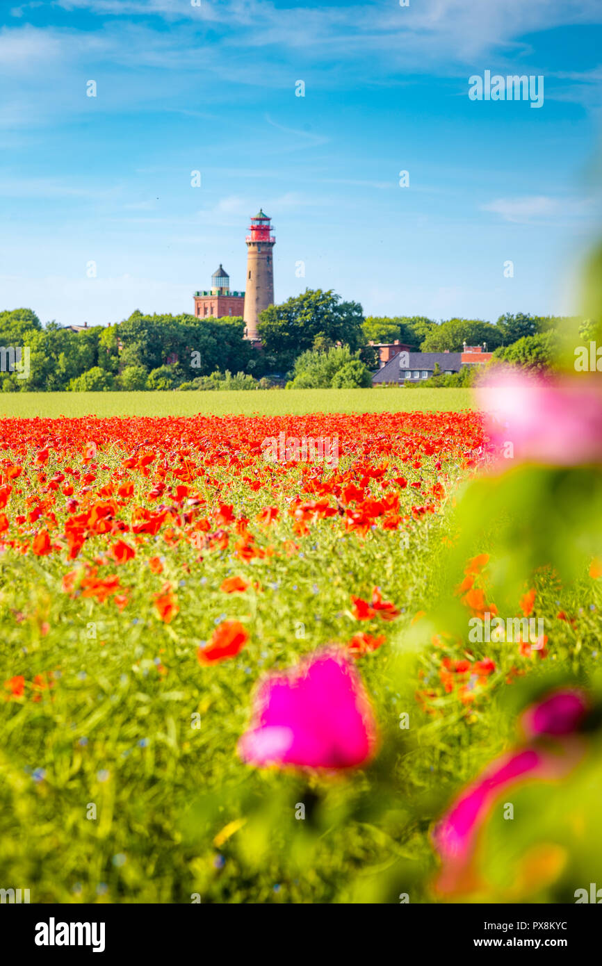 Schönen Blick auf Kap Arkona Leuchtturm mit einem Feld von blühenden Roter Mohn Blumen im Sommer, Insel Rügen, Ostsee, Deutschland Stockfoto