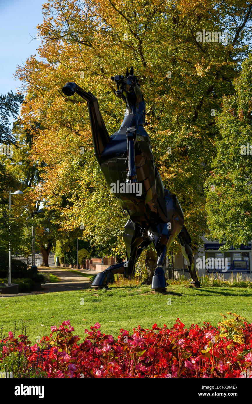 Die Metal Black Horse Skulptur namens Bucephalus und wusste, lokal als Auslöser. Die Skulptur wurde von Simon Evans erstellt und ist auf greyfriars Green in Stockfoto