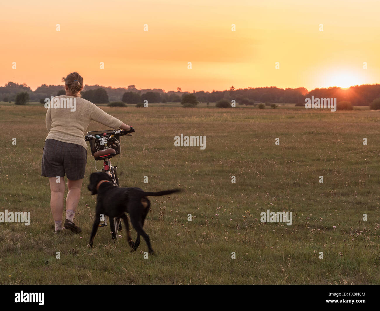 Eine Frau mit Fahrrad und Hund während des Sonnenuntergangs. Wiese neben dem Bug River. Podlachien. Podlachia. Polen, Europa. Die Region wird als Podlasko oder P Stockfoto