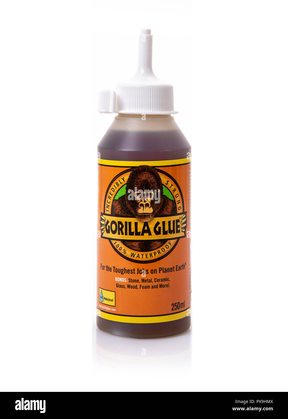 SWINDON, UK - 14. OKTOBER 2018: eine Flasche Gorilla Glue auf weißem Hintergrund Gorilla Glue ist von der Gorilla Glue Unternehmen verteilt Stockfoto