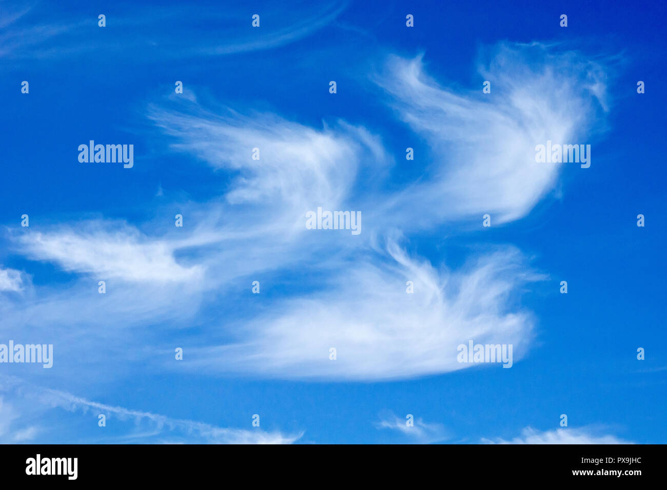 Hohe Zirruswolken, durch starke hohe Winde verzerrt. Stockfoto
