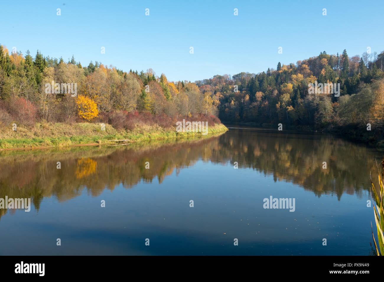 Ruhigen Wald Fluss im Herbst Stockfoto
