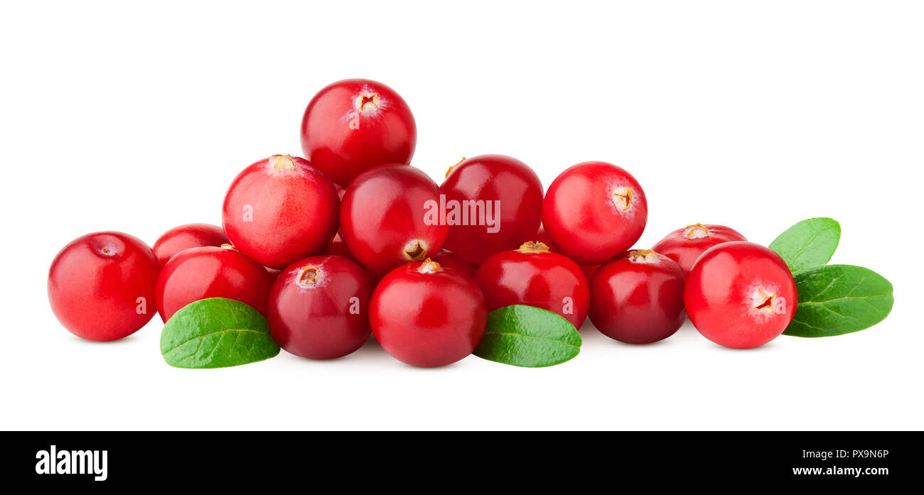 Cranberry auf weißem Hintergrund, Beschneidungspfade, volle Tiefenschärfe Stockfoto