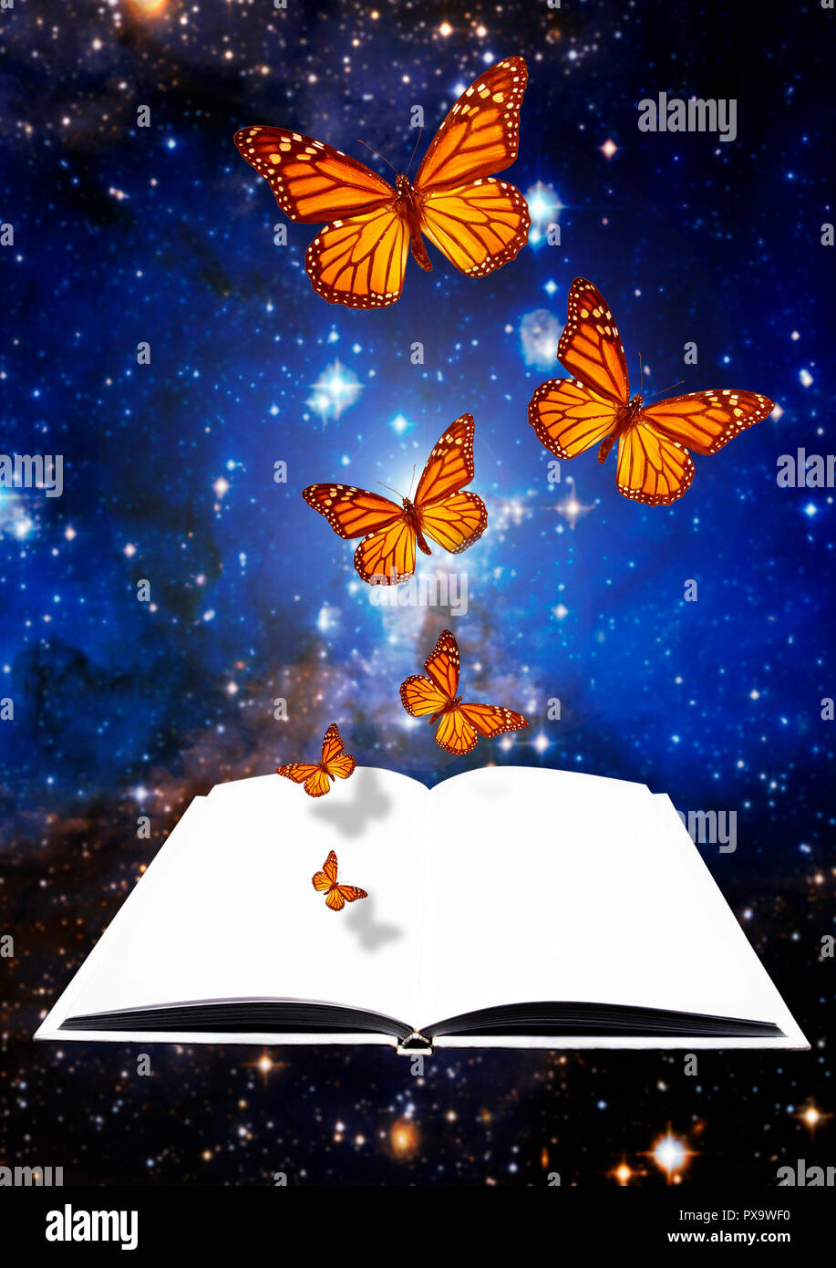 Schmetterlinge aus einem offenen Buch, Kreativität und Phantasie Konzept Stockfoto