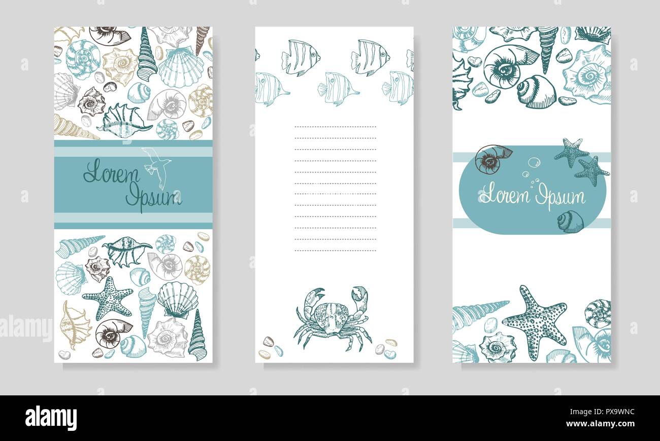 Seashells Broschüre Design. Sommer Meer Muscheln Banner Design. Hand gezeichnet Radierung Stil. Für Ihren Text. Marine Flayer Vorlage. Stock Vektor
