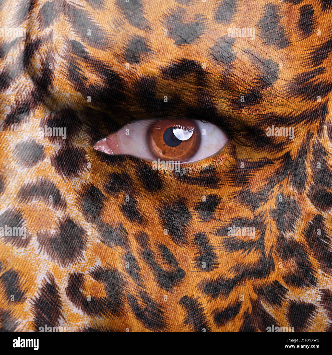 Gepard Muster auf dem Gesicht Stockfoto