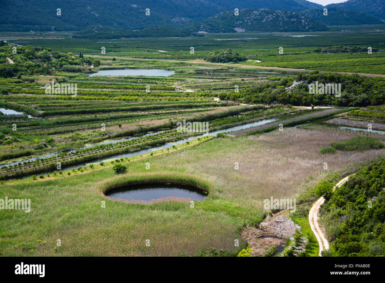 Neretva Delta ist der Fluss Delta der Neretva, ein Fluss, strömt durch Bosnien und Herzegowina und Kroatien und mündet in die Adria. Stockfoto