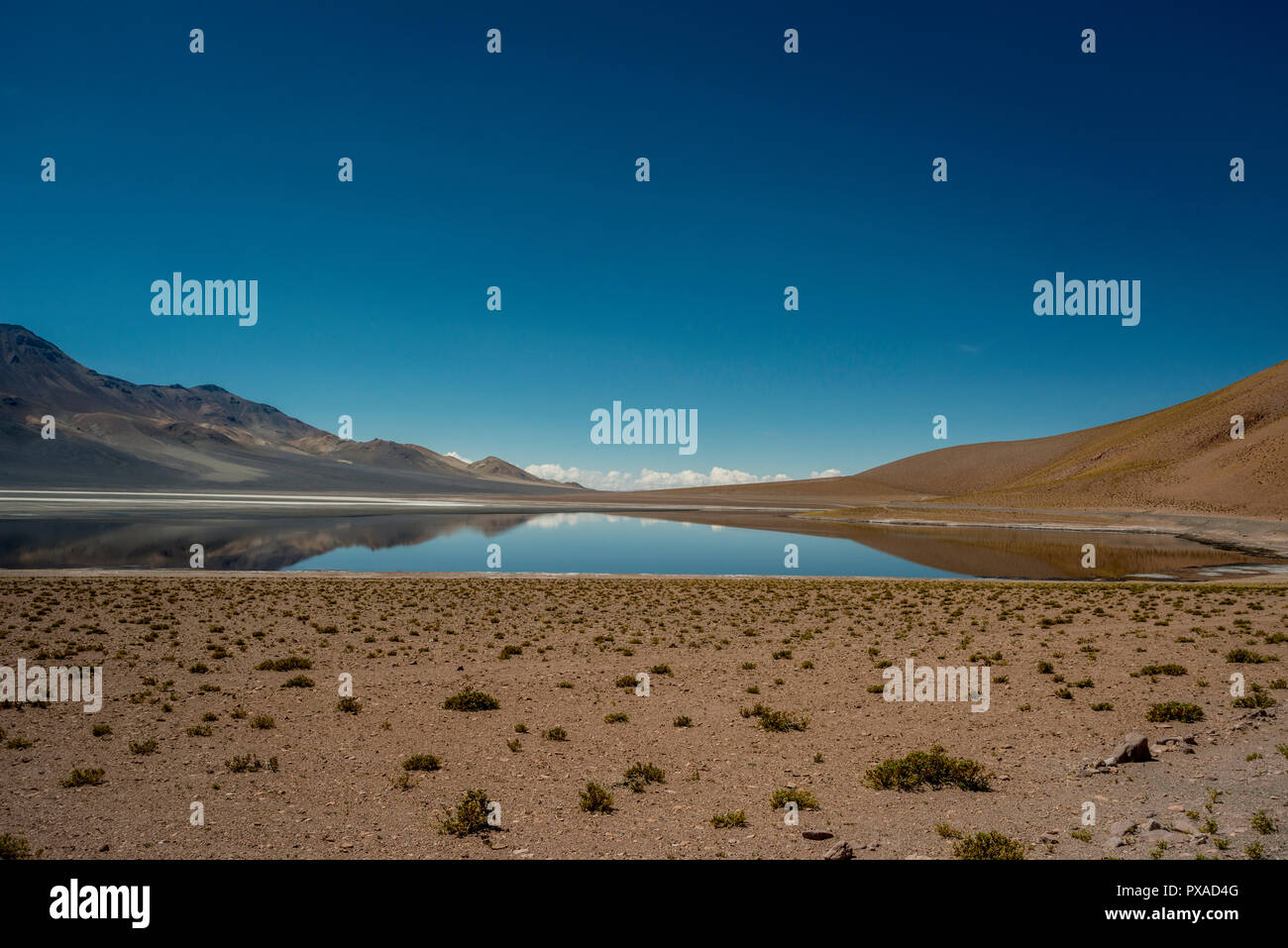 Anden Lagune im dreifachen Grenzgebiet zwischen Argentinien, Chile und Bolivien. Stockfoto