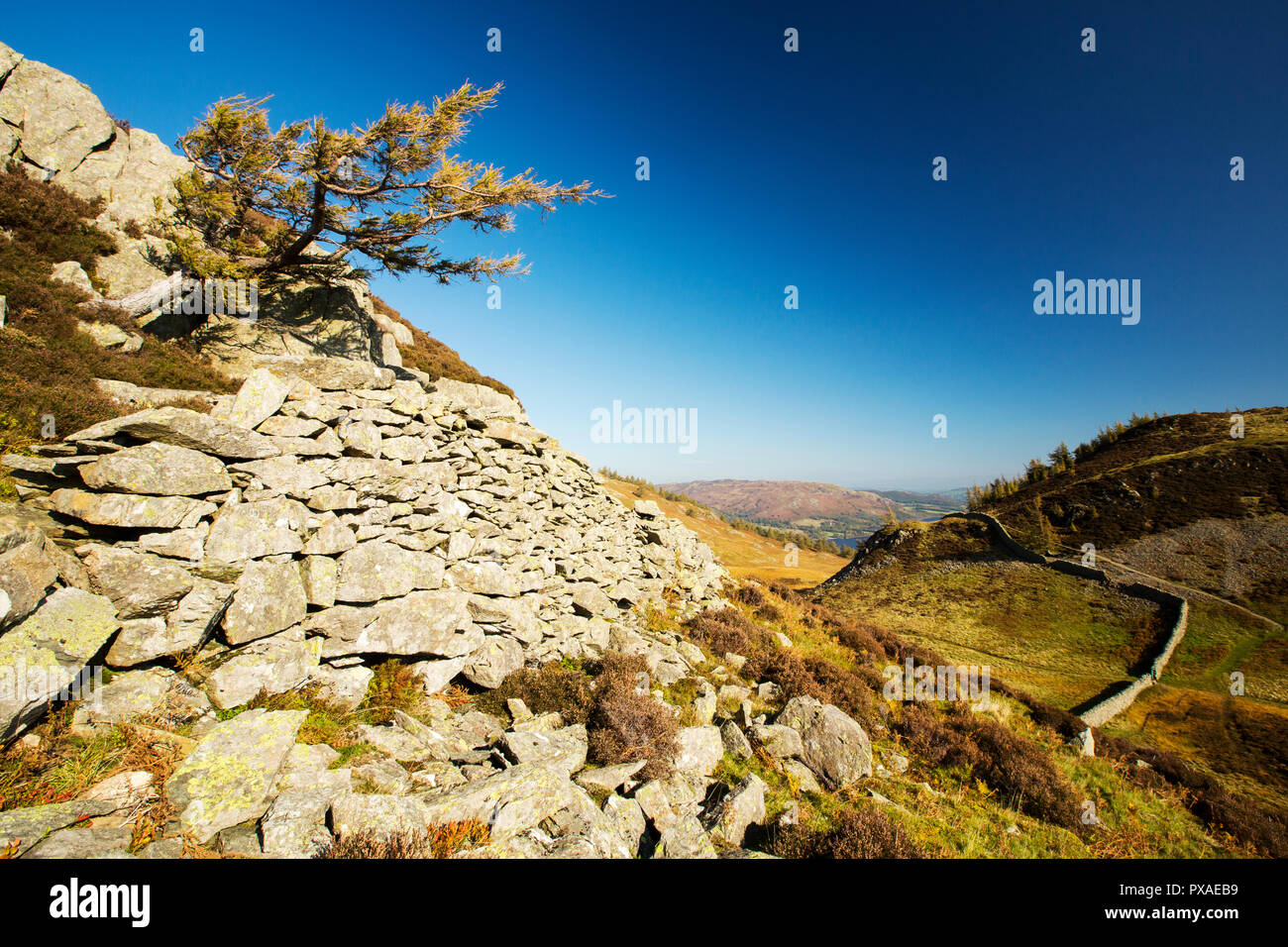 Sheffield Hecht in Richtung Ullswater, Lake District, England suchen. Stockfoto