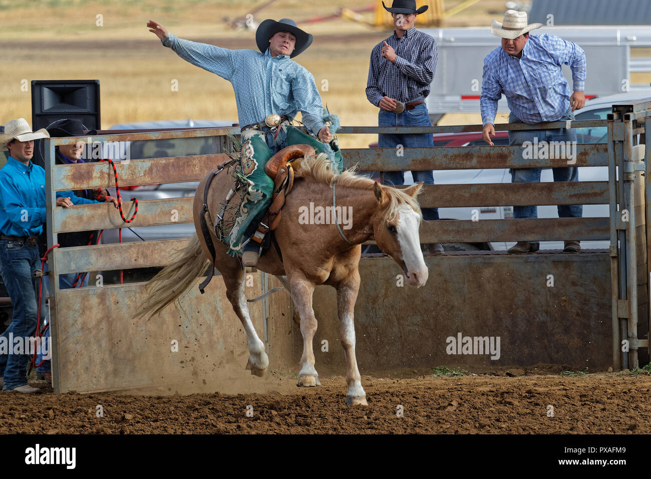 Junge sattel Fotos und Bildmaterial in hoher Auflösung Alamy
